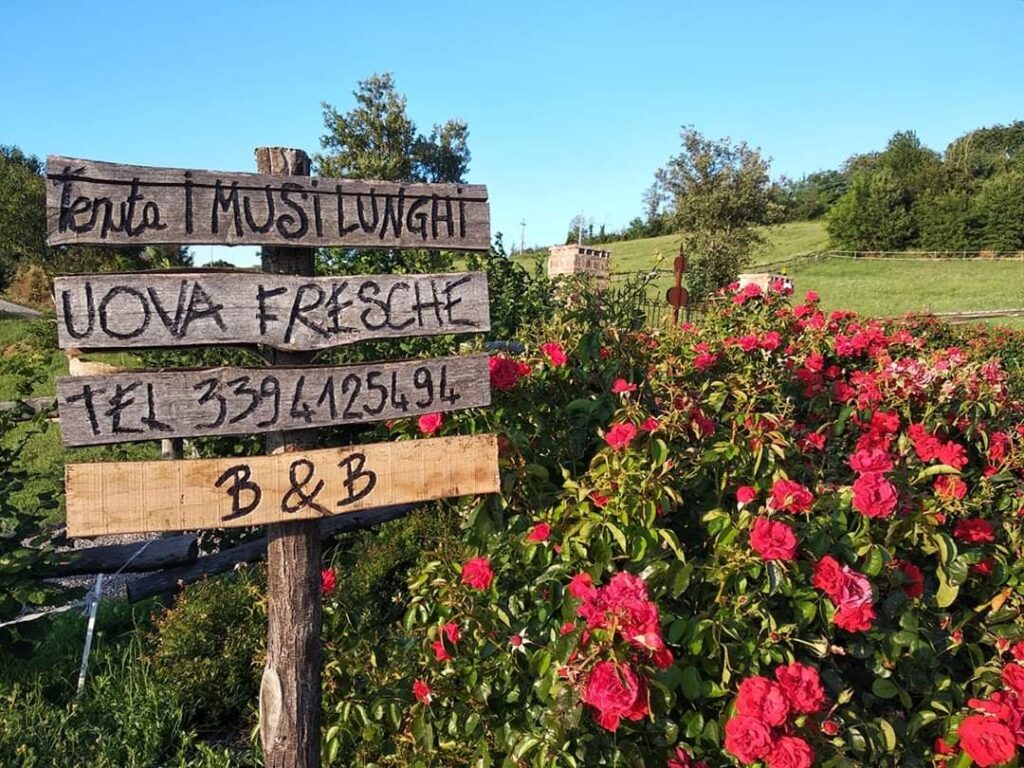 Ingresso Tenuta I Musi Lunghi