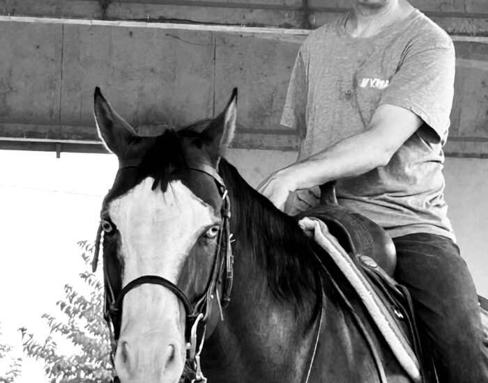 Fabio a cavallo 2