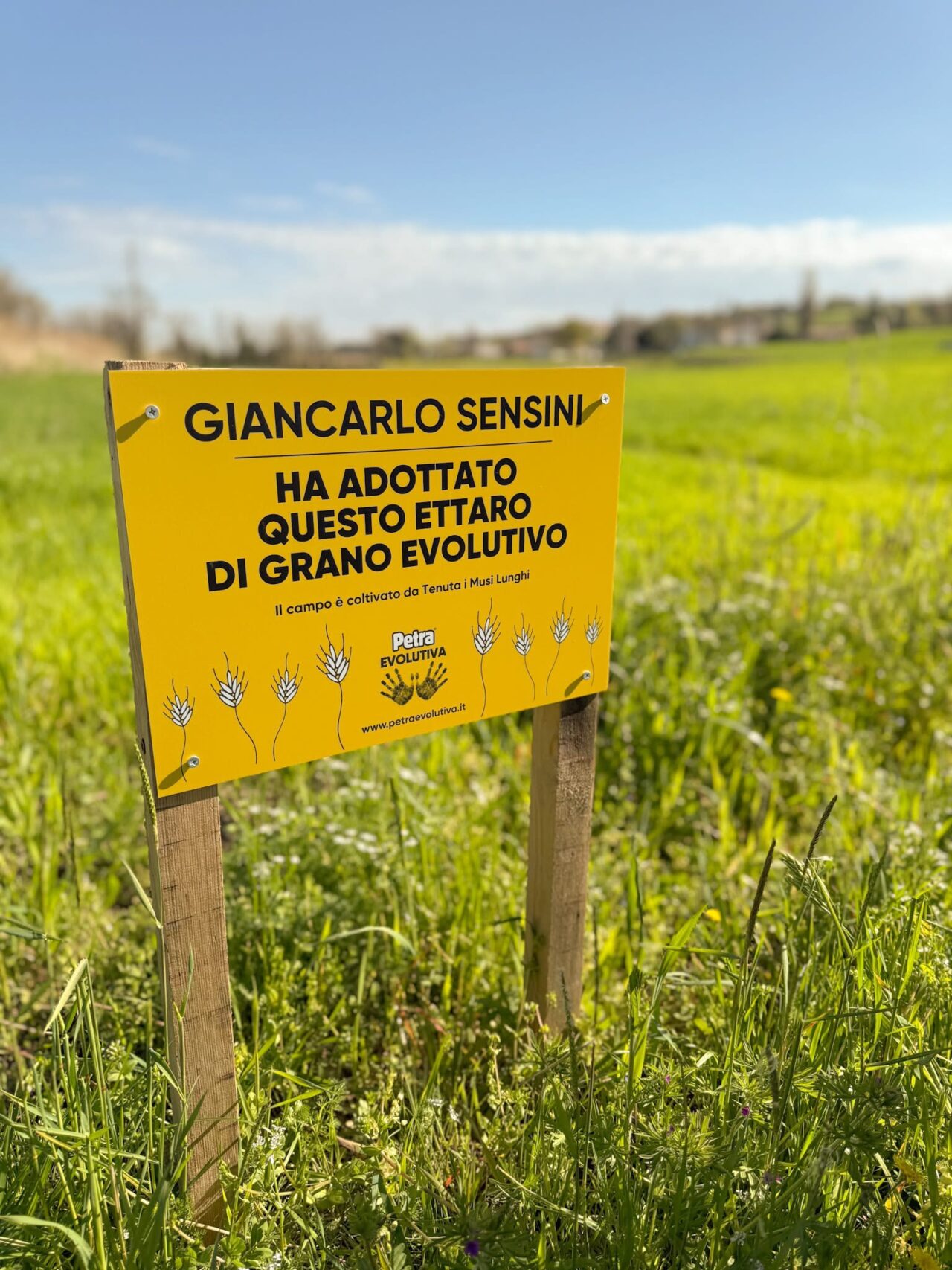 Campo Sensini Farina Petra
