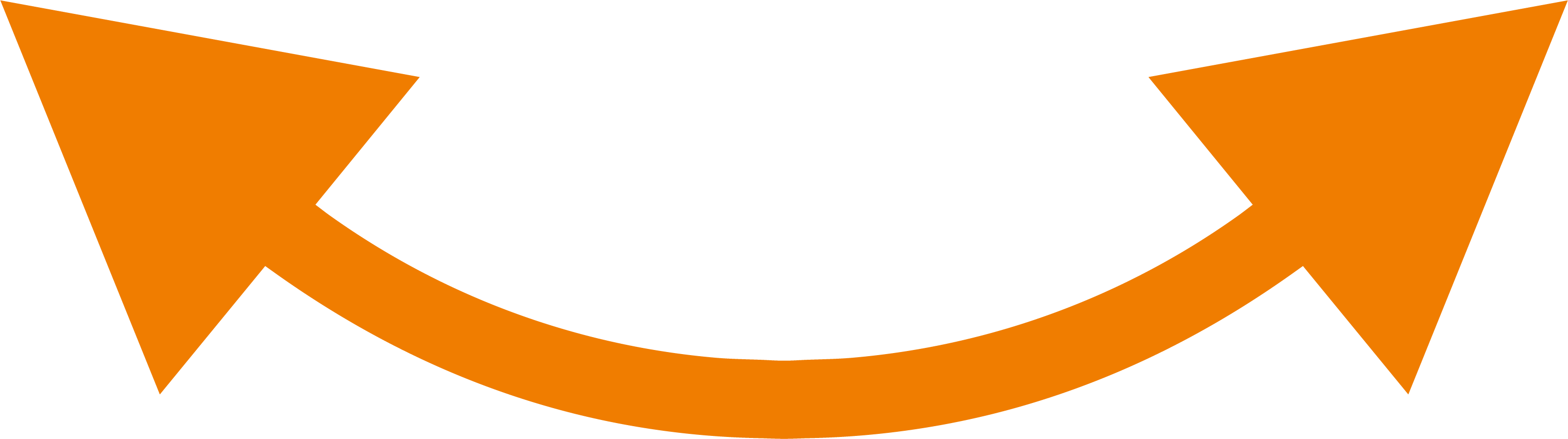Freccia Arancio Web-Aut
